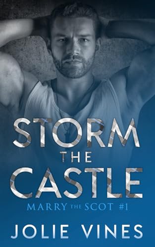 Storm the Castle book cover