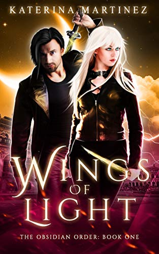 Wings of Light book cover