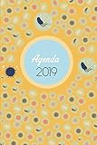 Agenda 2019 Agenda Mensual Y Semanal Organizador I Cubierta Con Tema De Microbiologiai Enero 2019 A Diciembre 2019 6 X 9in