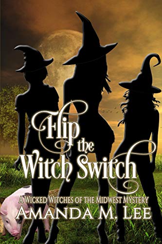 Flip the Witch Switch book cover