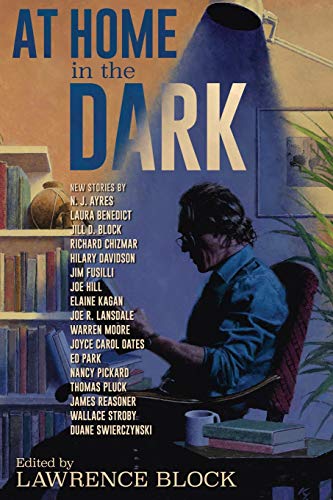 At Home in the Dark book cover