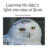 Learning My Abcs With The Help Of Birds