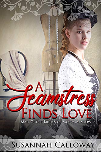 A Seamstress Finds Love book cover
