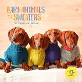 Baby Animals In Sweaters 2021 Wall Calendar Cutest Animals Monthly Calendar Wall Calendar Of Cuddly Animals Wearing Sweaters