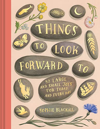 Things to Look Forward To book cover