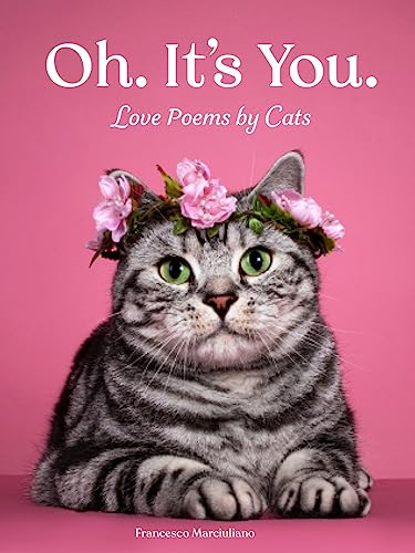 Cover of Oh. It's You