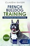 French Bulldog Training Dog Training For Your French Bulldog Puppy