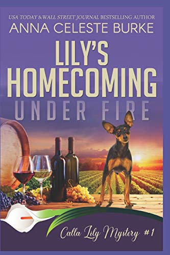 Lily's Homecoming Under Fire book cover