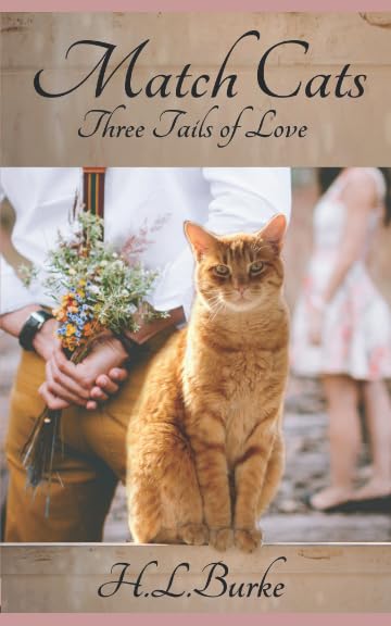 Match Cats book cover