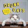 Drunk Cats: Hilarious Snaps of Wasted Cats
