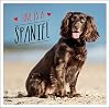 Love is a Spaniel: A Dog-Tastic Celebration of the Worldโs Most Lovable Breed