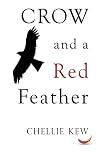 Crow and a Red Feather