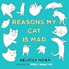Reasons My Cat Is Mad