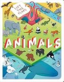Amazon cover image