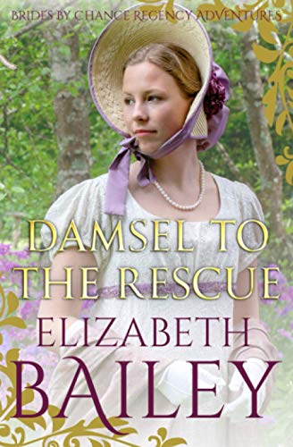 Damsel To The Rescue book cover