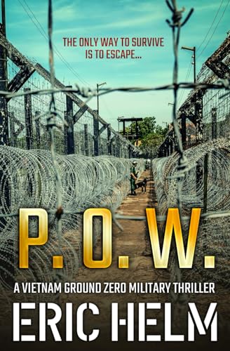 P. O. W. book cover