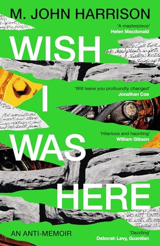 Wish I Was Here book cover