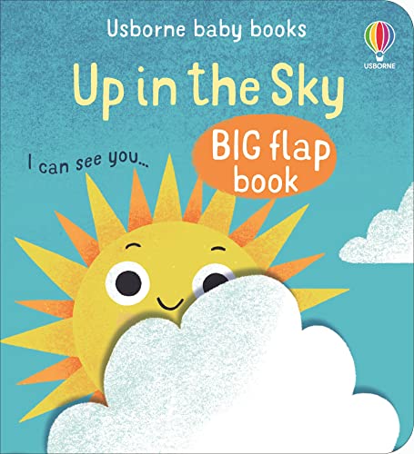 Cover of Baby's Big Flap Books