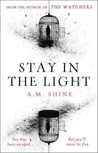 Stay in the Light book cover