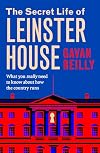 The Secret Life of Leinster House: What You Really Need to Know About How the Country Is Run