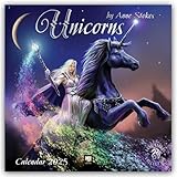 Unicorns by Anne Stokes Wall Calendar 2025 (Art Calendar)
