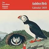 Fitzwilliam Museum: Audubon Birds Wall Calendar 2025 (Art Calendar)