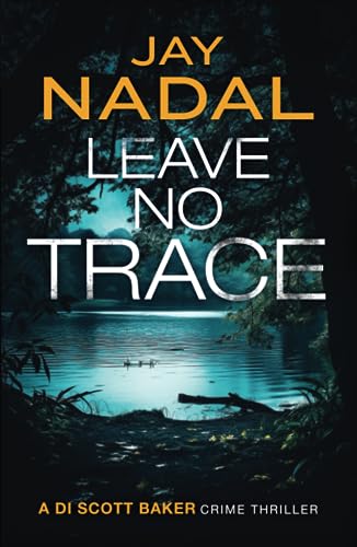 Leave No Trace / Disappear book cover