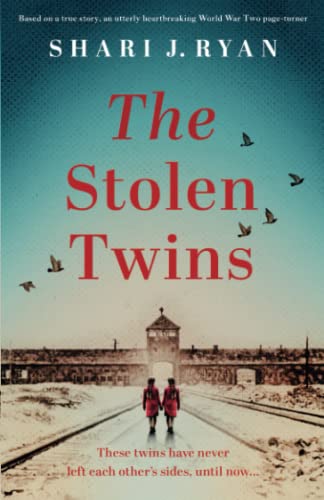 The Stolen Twins cover