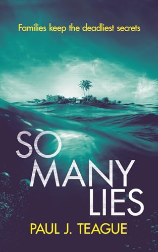 So Many Lies book cover