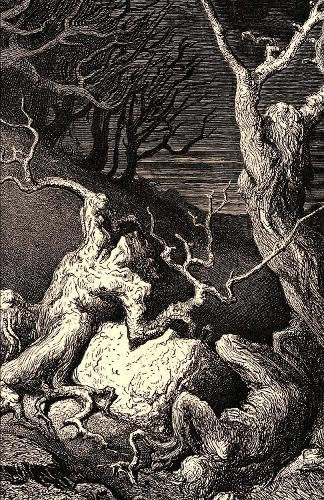 Unquiet Grove book cover