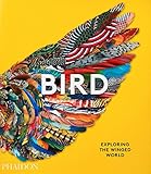 Bird: Exploring the Winged World
