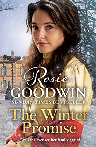 The Winter Promise book cover