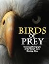 Birds of Prey: Stunning Photographs of the World's Great Hunting Birds