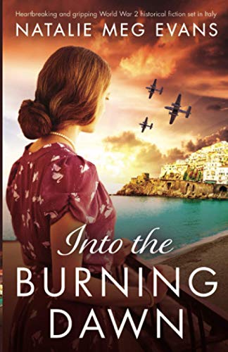 Into the Burning Dawn book cover