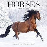 Horse Calendar Calendars 2020 2021 Wall Calendars Animal Calendar Horses 16 Month Wall Calendar By Avonside