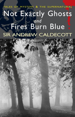 Not Exactly Ghosts & Fires Burn Blue book cover
