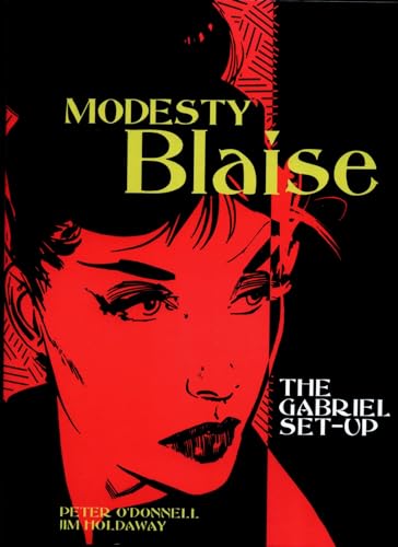 The Gabriel Set-Up book cover