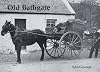 Old Bathgate