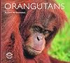 Orangutans (Worldlife Library)