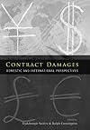 Contract Damages: Domestic and International Perspectives