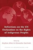 Reflections On The Un Declaration On The Rights Of Indigenous Peoples