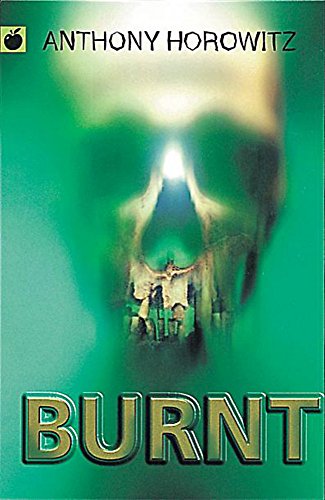 Burnt book cover