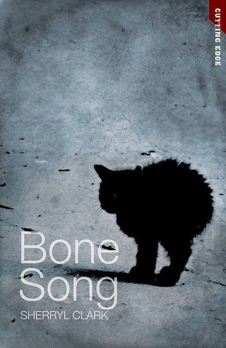 Bone Song book cover