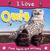 I Love Owls