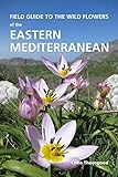 Field Guide To The Wild Flowers Of The Eastern Mediterranean