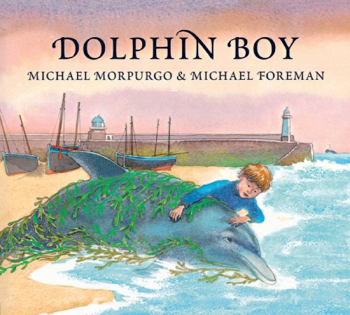 Dolphin Boy book cover