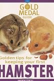 Golden Tips For Keeping Your First Hamster