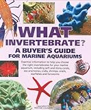 What Invertebrate