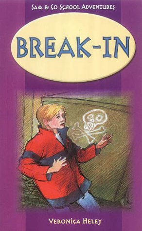 Break-in book cover