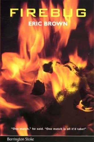 Fire Bug book cover